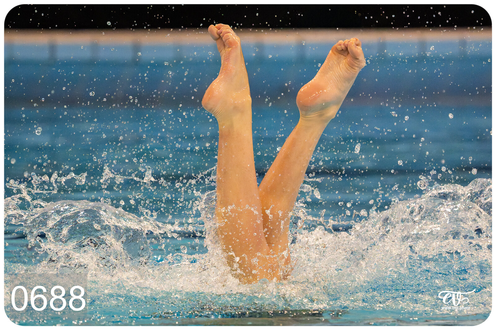 CHAMPIONNAT DE FRANCE DE NATATiON ARTISTIQUE N1 & ELITE 2026